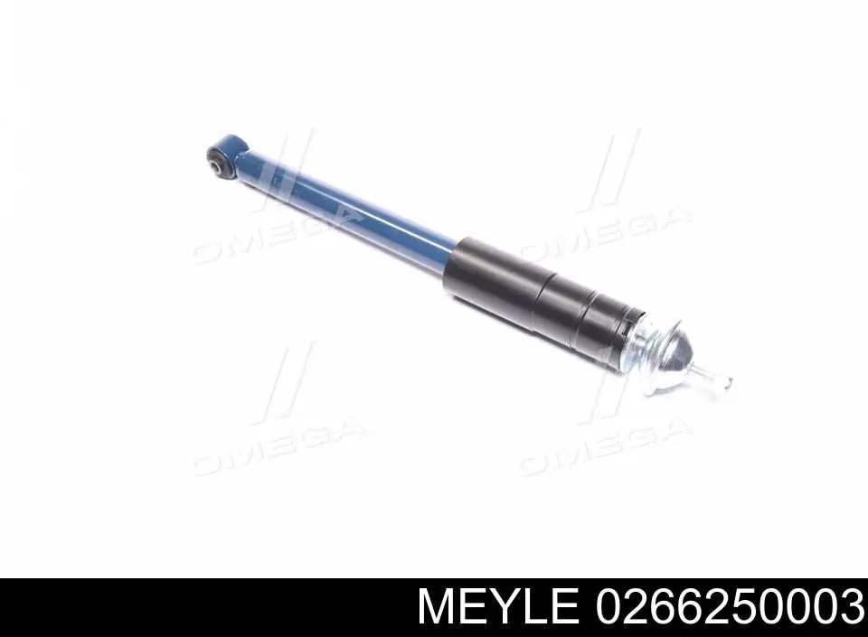 RS316949 Raiso Стійка передня