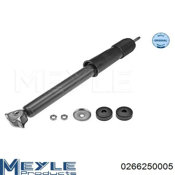 Амортизатор передній RS101705 Raiso
