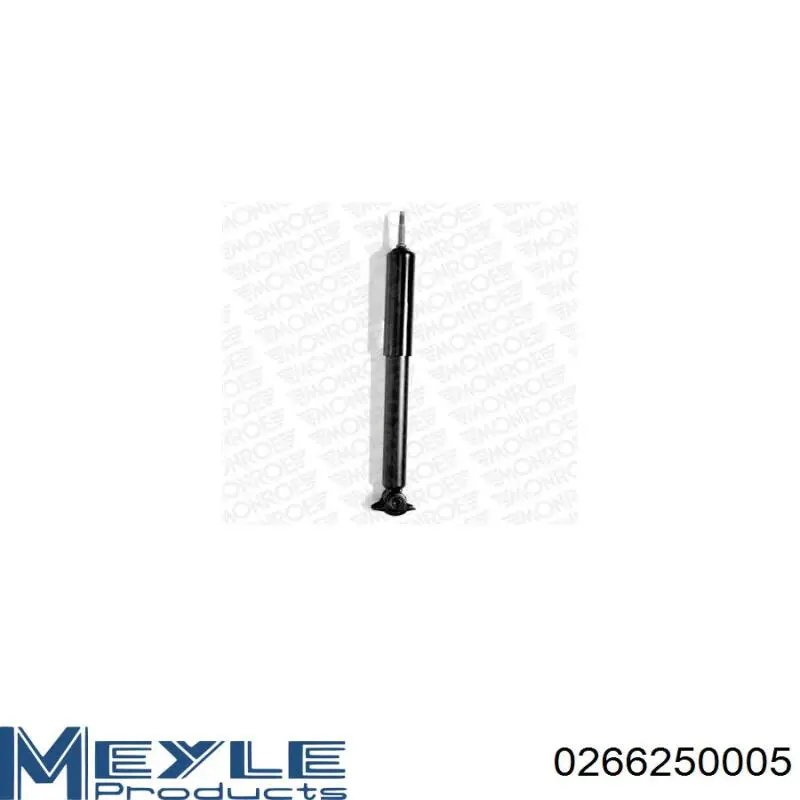 RS101705 Raiso Стійка передня