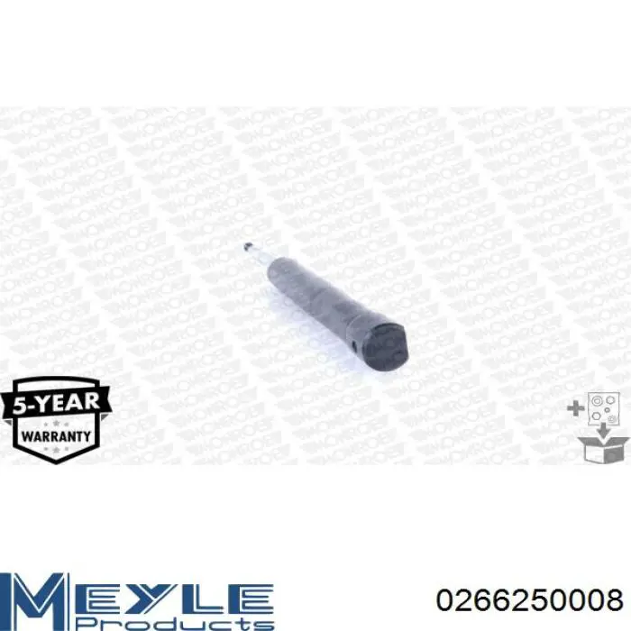 Амортизатор передній RS310015 Raiso