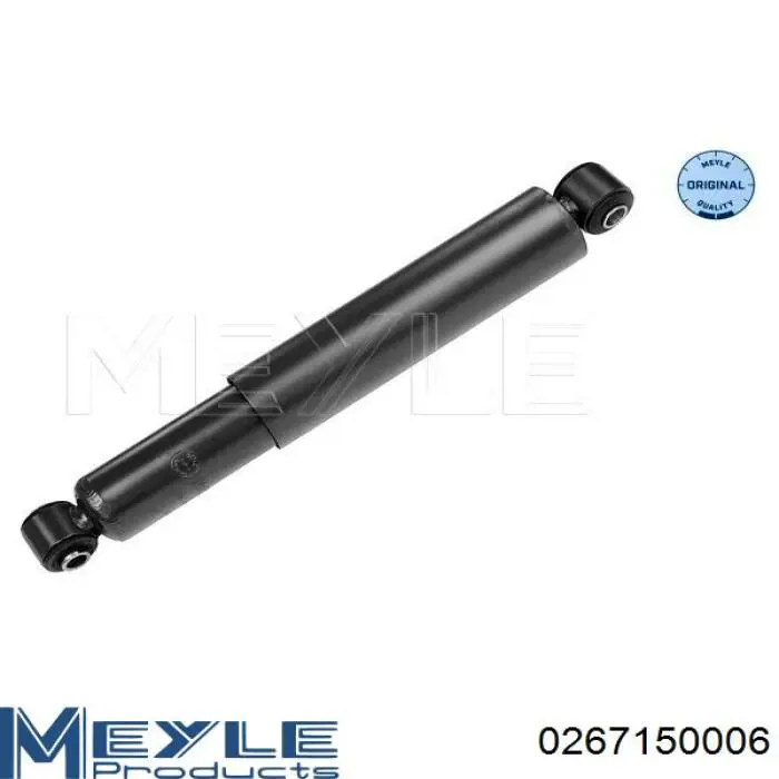 Купити RS101498 Raiso Стійка амортизатора задня
