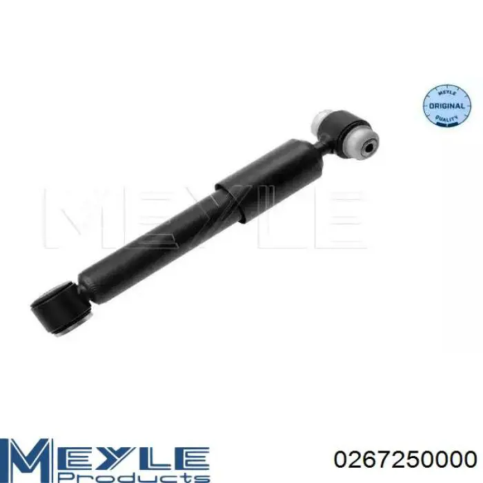 Амортизатор задній Raiso RS317355 ціна, від 26.81 USD