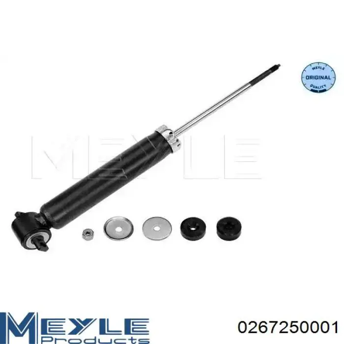 Амортизатор задній Raiso RS316942 ціна, від 28.43 USD