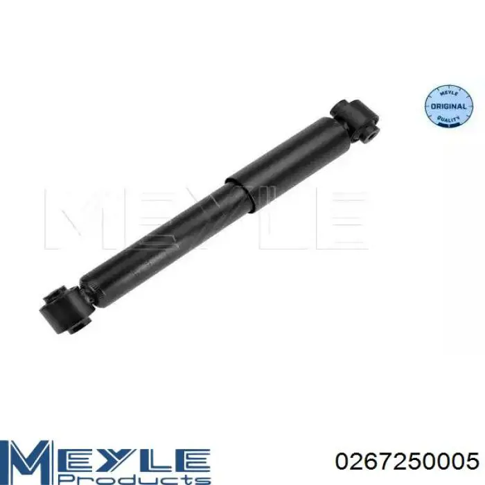 Амортизатор задній RS290909 Raiso