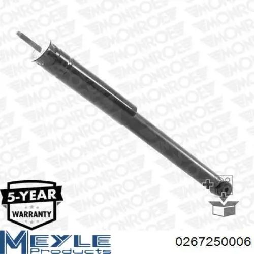 Амортизатор задній Raiso RS317257 ціна, від 30.07 USD