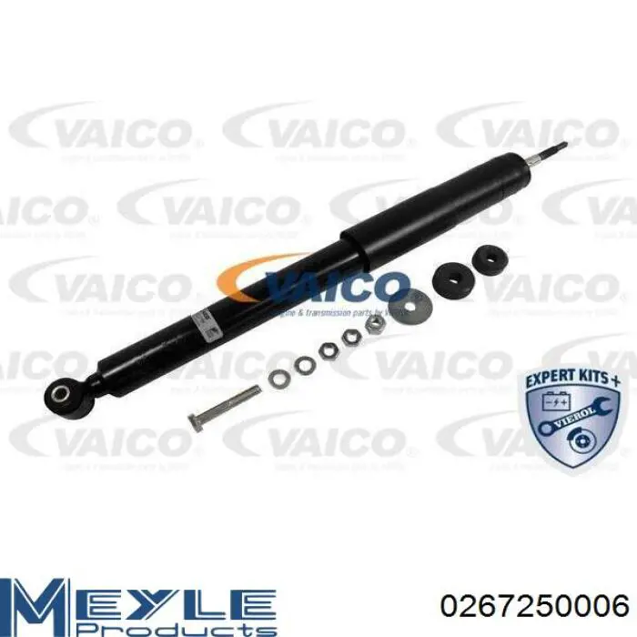 Амортизатор задній RS317354 Raiso