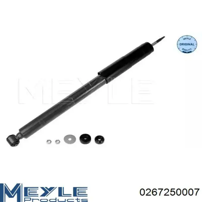 Купити RS317268 Raiso Стійка амортизатора задня