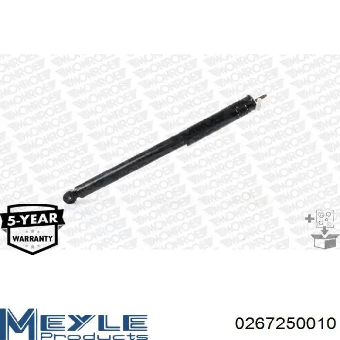 Купити RS317259 Raiso Стійка амортизатора задня