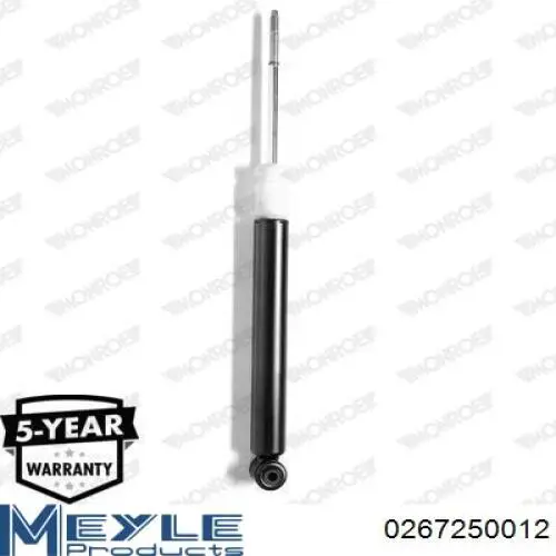 Купити A1243201031 Mercedes Стійка амортизатора задня