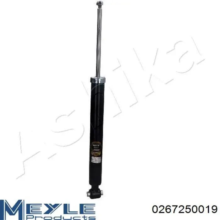 Купити RS317266 Raiso Стійка амортизатора задня