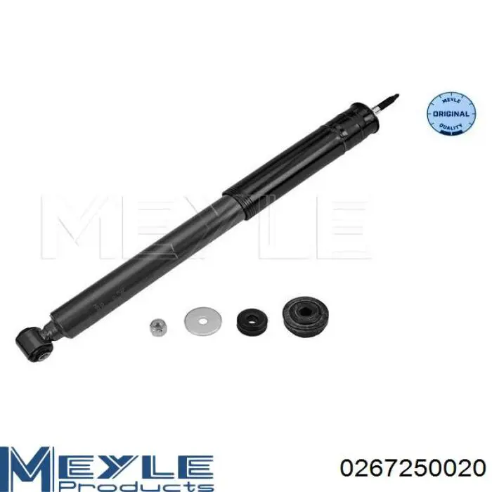 Амортизатор задній Raiso RS317337 ціна, від 23.03 USD