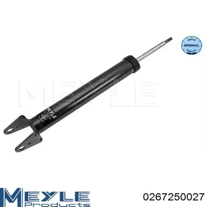 Купити RS315235 Raiso Стійка амортизатора задня