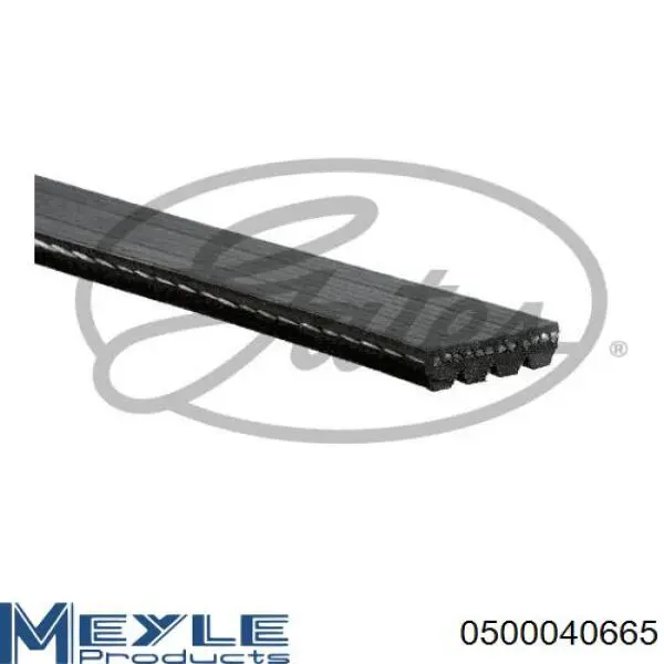 96239408 Gates Поліклиновий ремінь