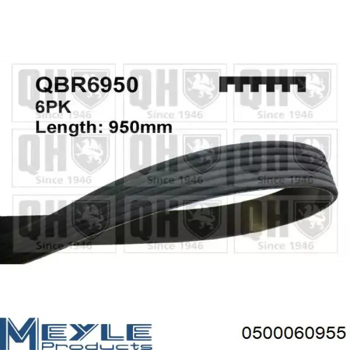 Ремінь генератора 1126PK955 Ashika