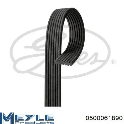 Купити 0500061890 Meyle Ремінь генератора
