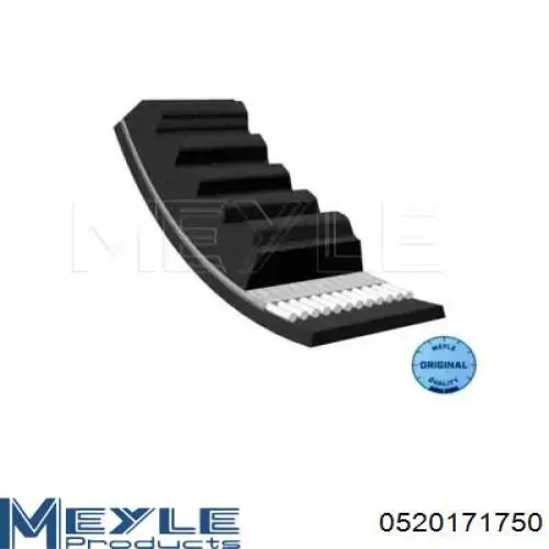 Купити 17X1750 Continental/Siemens Ремінь генератора