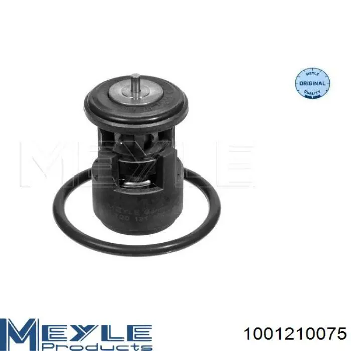 Кожух термостата Vernet TH9274W1V287J ціна, від 25.33 USD