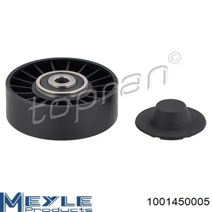 MPQ0003 Magneti Marelli Ролик приводного ременя, паразитний