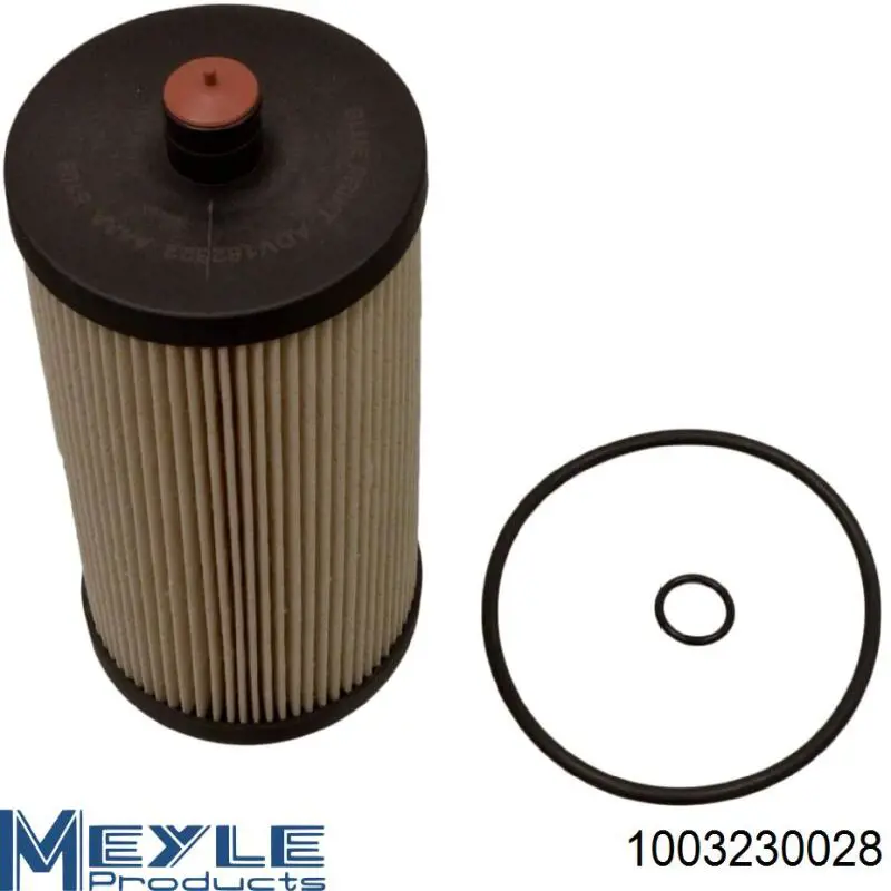 Паливний фільтр RD2049WF8392 Rider