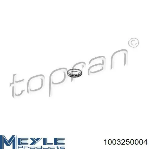Кільце ущільнювача фільтра АКПП Volkswagen Sharan 1 (7M8, 7M9, 7M6) (Фольцваген Шаран)