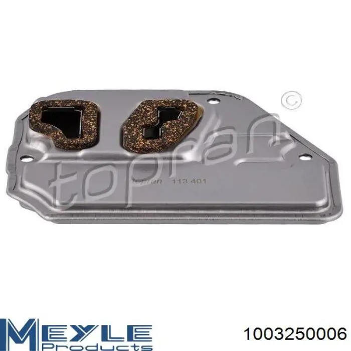 Купити 1003250006 Meyle Масло і фільтр в коробку автомат 