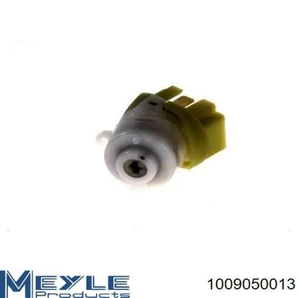 Купити 50033010 Magneti Marelli Контактна група