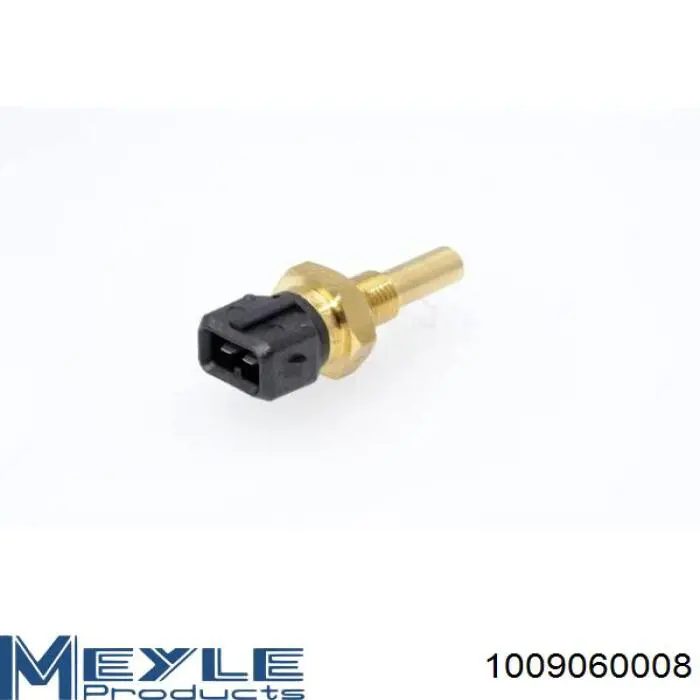 Купити 171916011250 Magneti Marelli Датчик температури охолоджуючої рідини