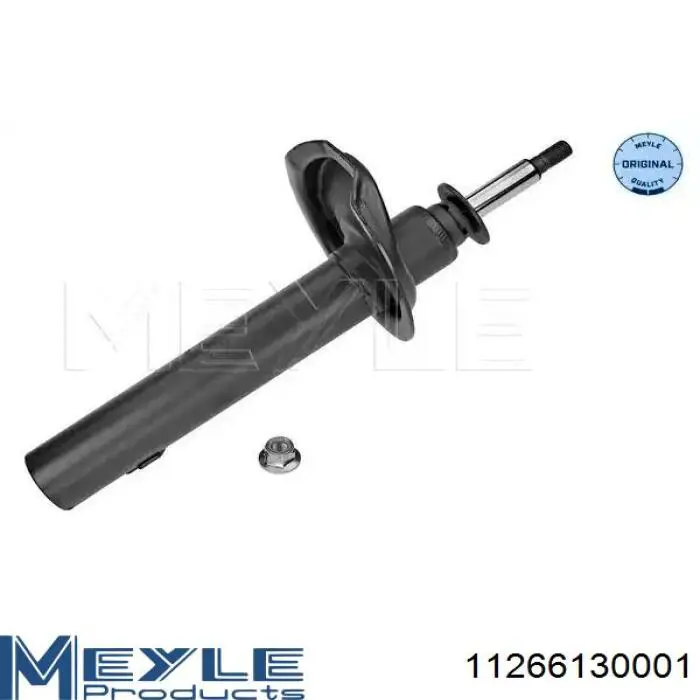 Амортизатор передній RS110897 Raiso
