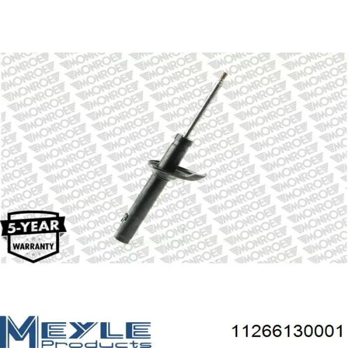 RS110897 Raiso Стійка передня