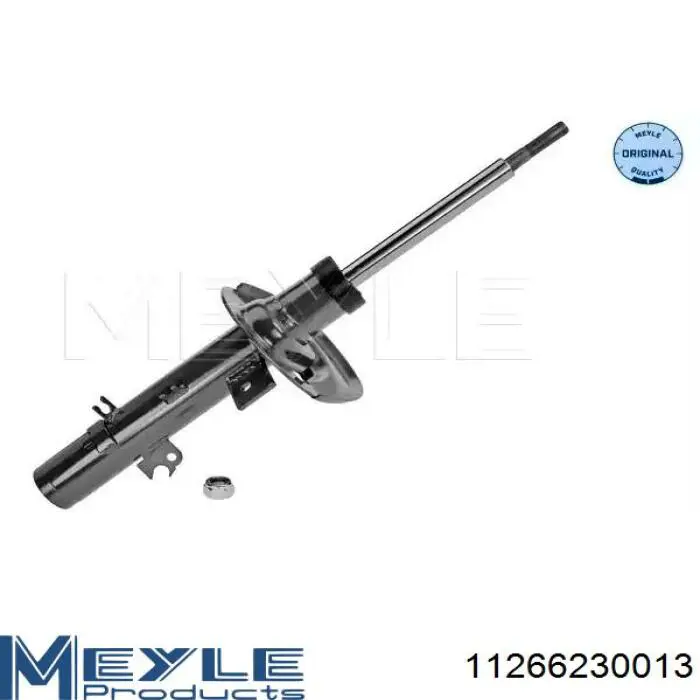 Амортизатор передній, правий Raiso RS313681 ціна, від 39.52 USD