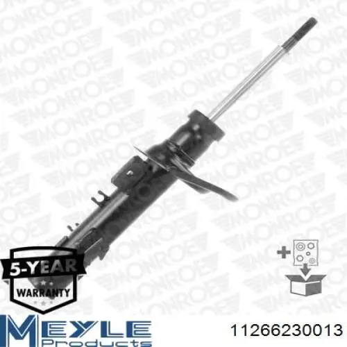 Купити RS313681 Raiso Амортизатор передній, правий