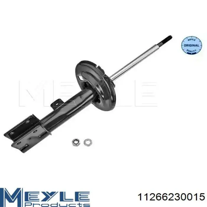 Купити RS315134 Raiso Амортизатор передній, правий
