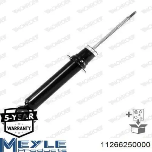 Купити RS313562 Raiso Амортизатор передньої підвіски