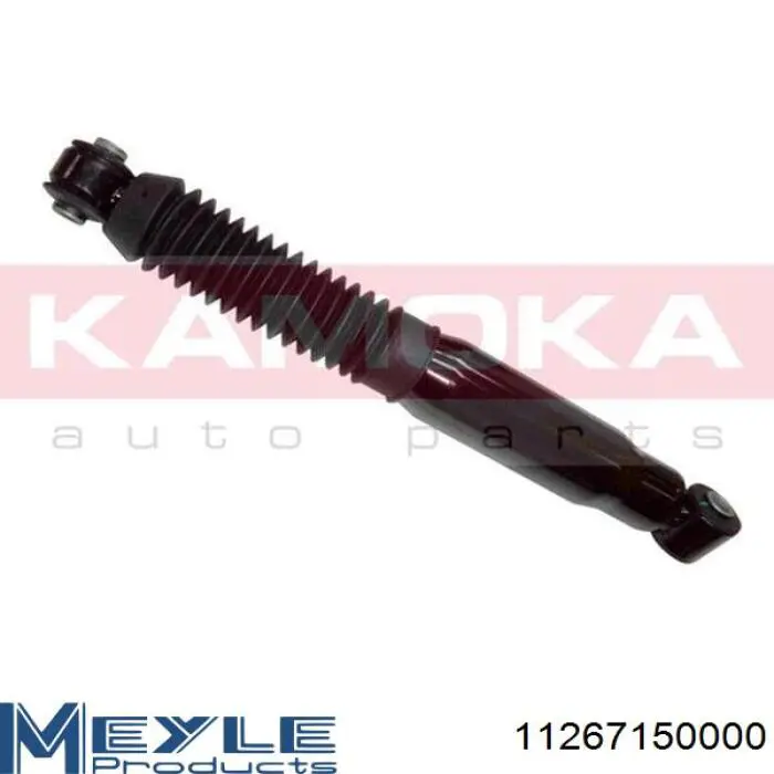 Амортизатор задній Raiso RS280435 ціна, від 18.99 USD