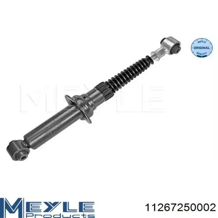 Купити RS313564 Raiso Стійка амортизатора задня