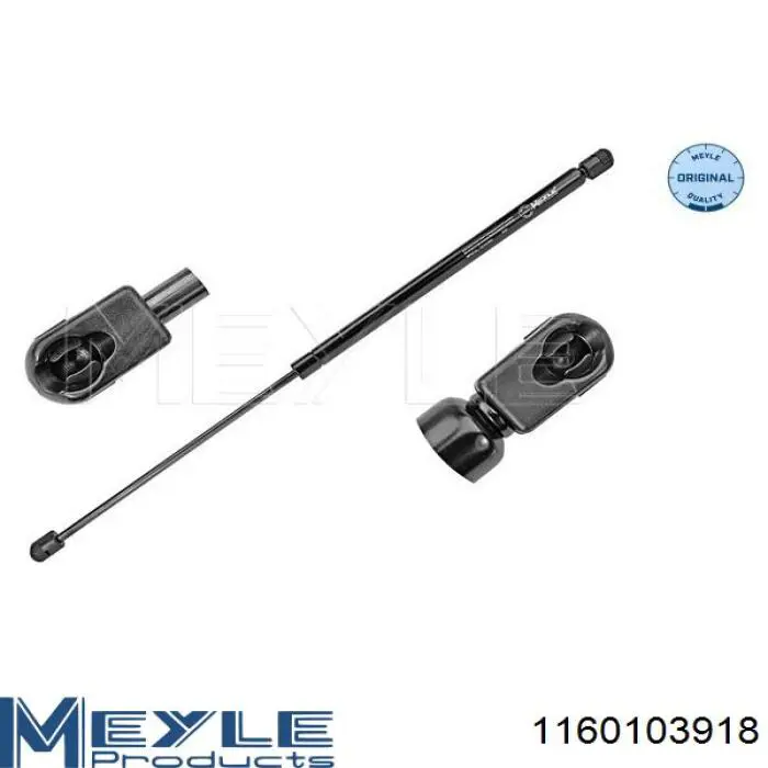 1160103918 Meyle Кульова опора, нижня, права