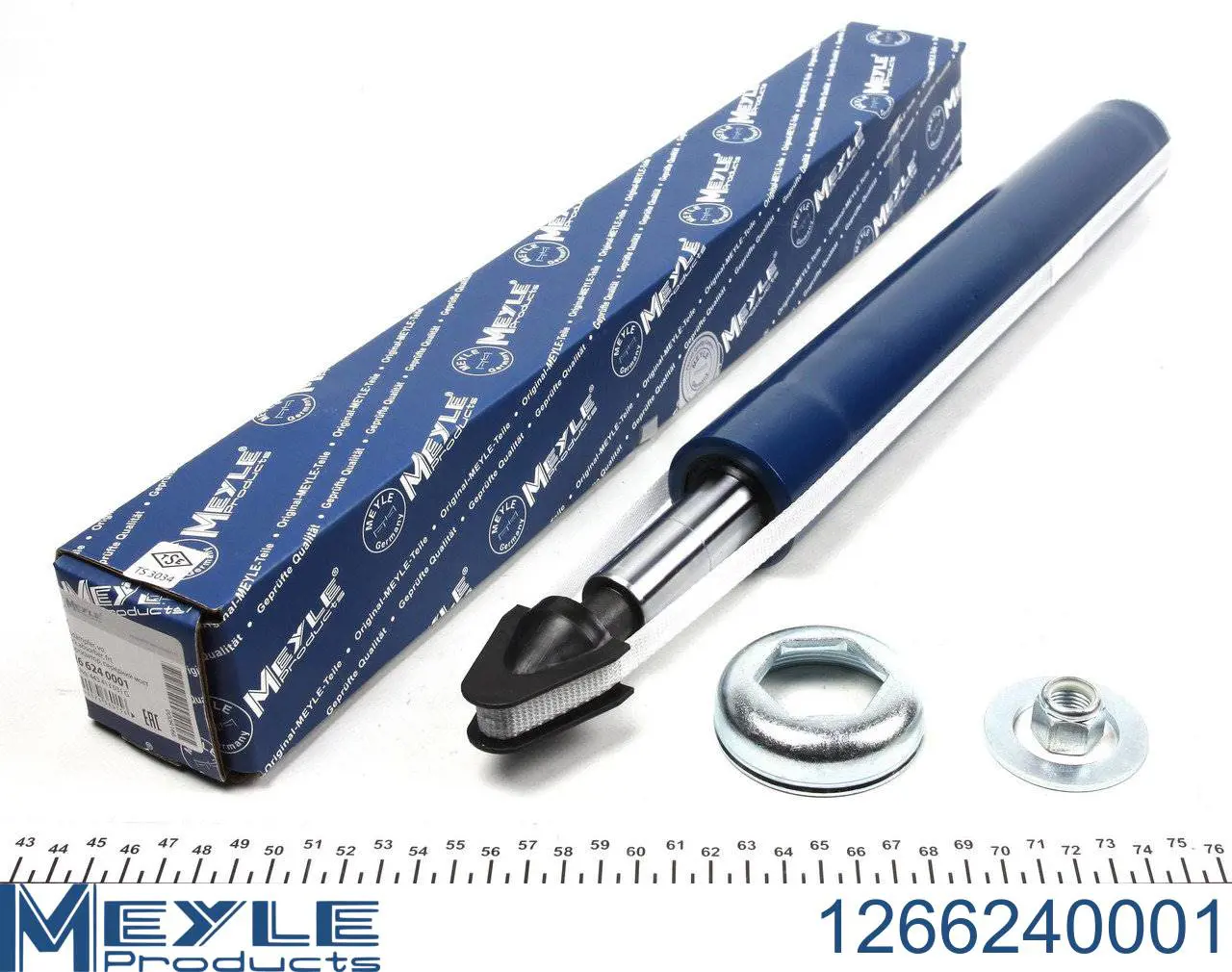 Купити RS318303 Raiso Амортизатор передньої підвіски