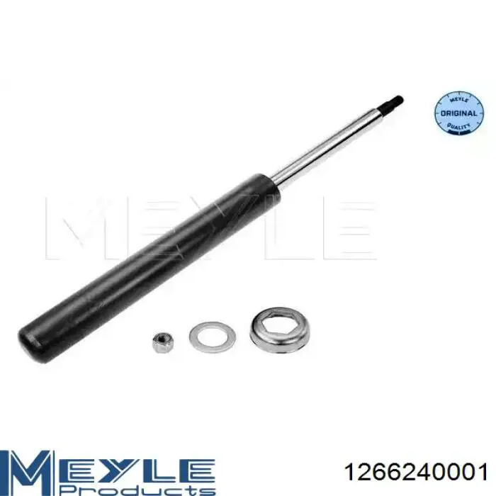 Амортизатор передній RS318303 Raiso
