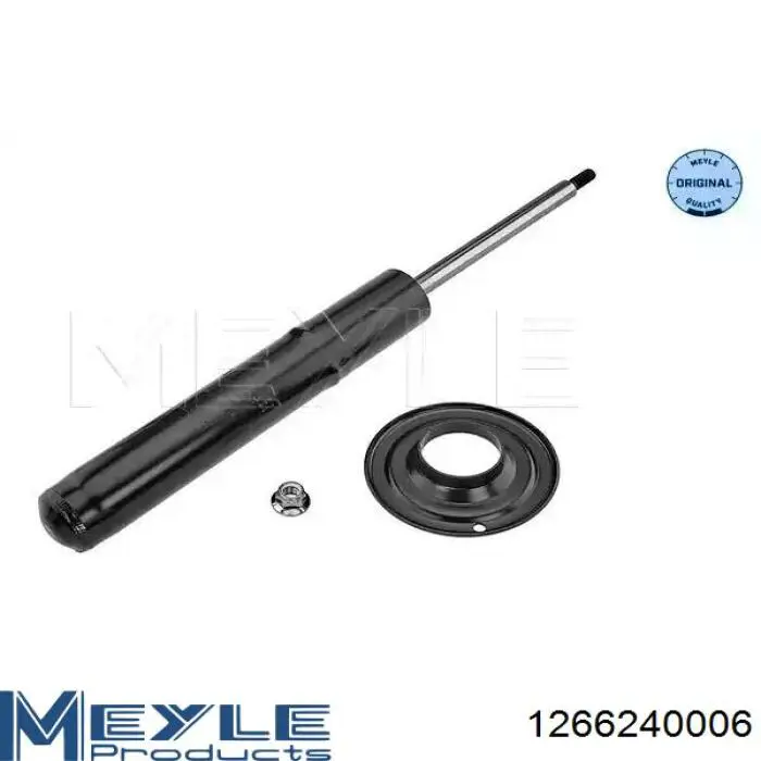 RS315262 Raiso Стійка передня