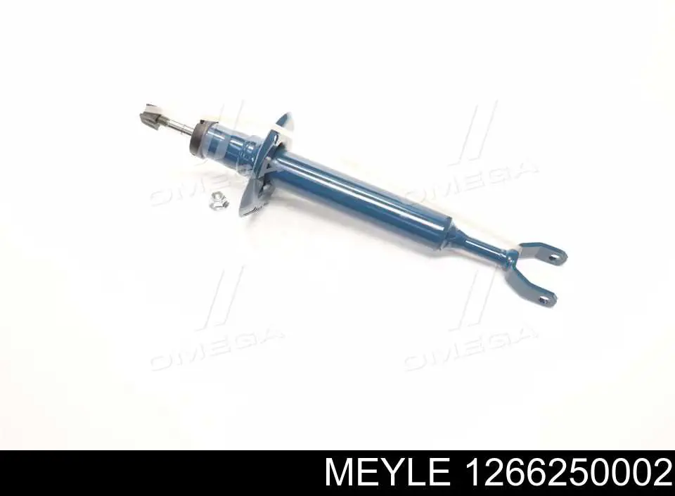 Амортизатор передній RS170811 Raiso
