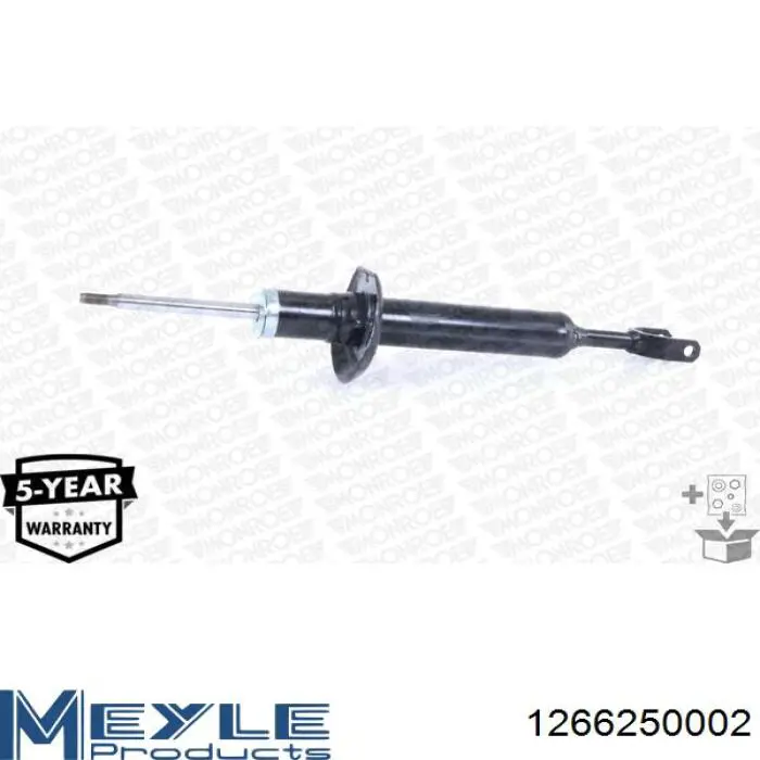 Амортизатор передній RS170811 Raiso