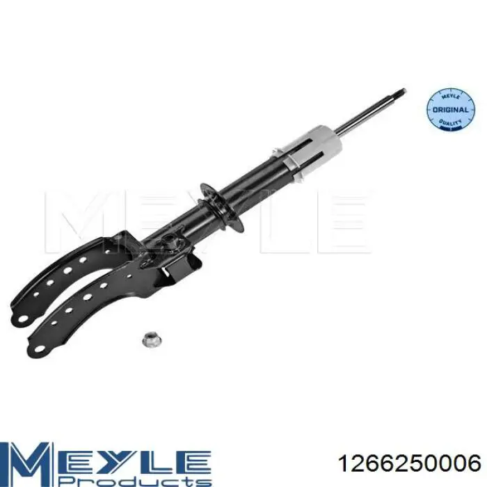 Амортизатор передньої підвіски, лівий Raiso RS317241 ціна, від 55.19 USD
