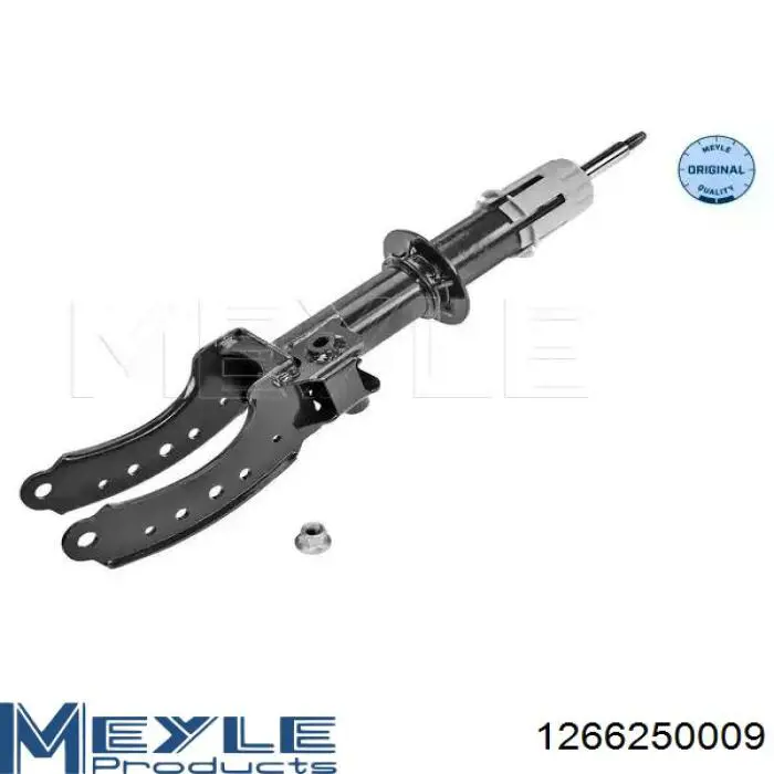 Амортизатор передній, правий Raiso RS314456 ціна, від 63.27 USD