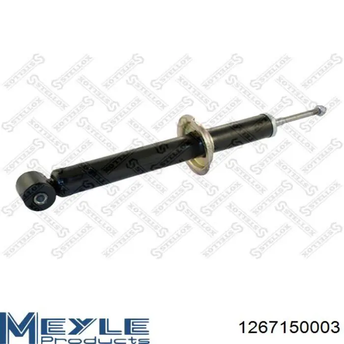 RS105782 Raiso Амортизатори задні