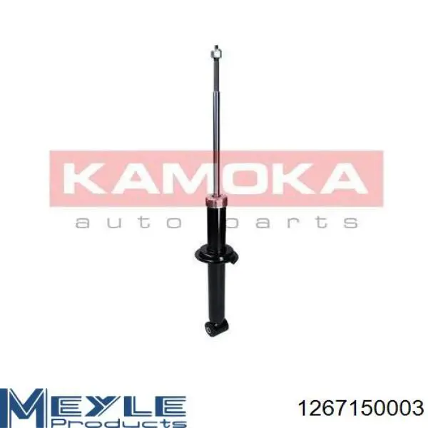 Амортизатор задній RS105782 Raiso