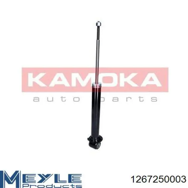 Купити RS170269 Raiso Стійка амортизатора задня