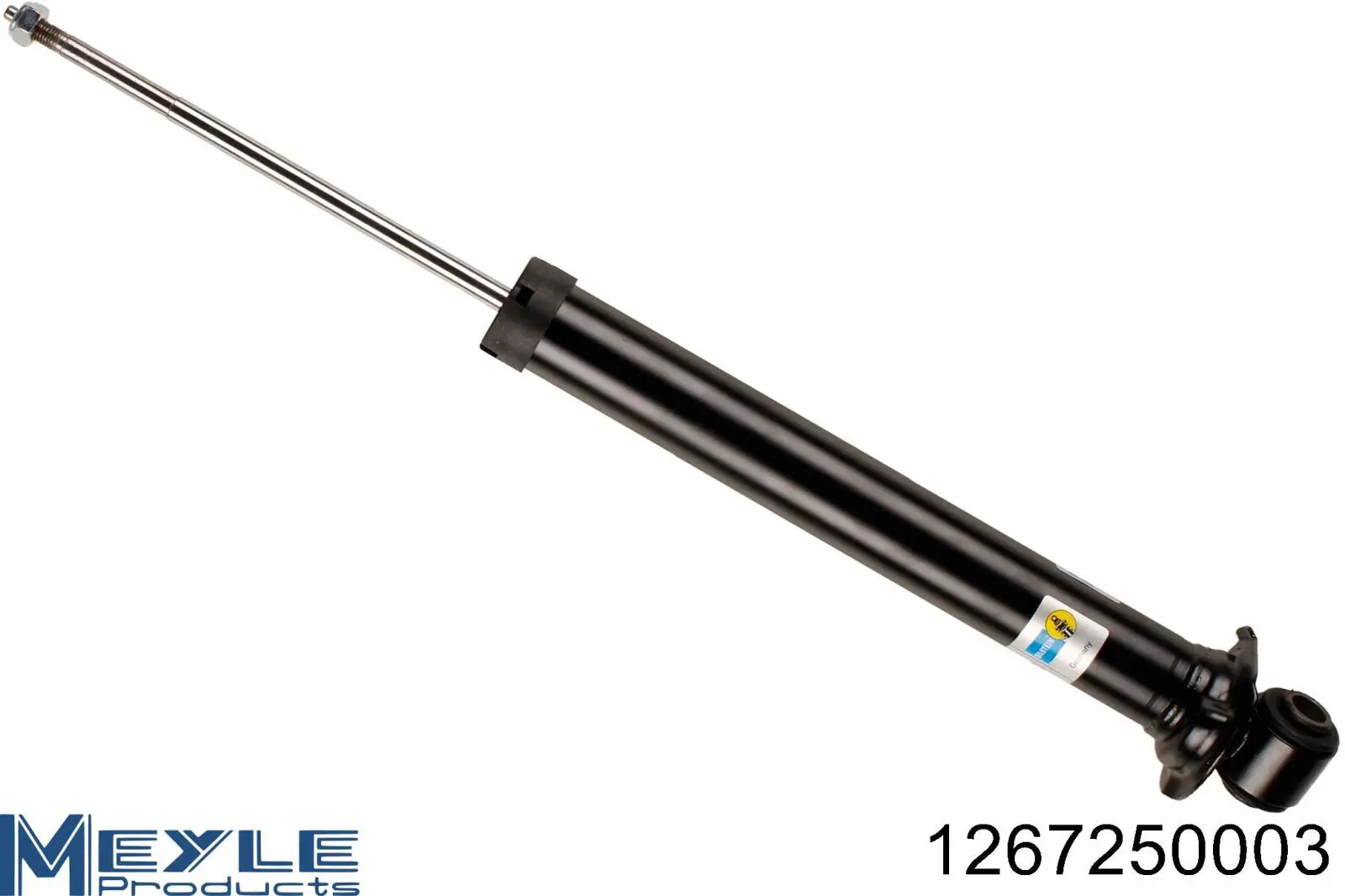 Амортизатор задній Raiso RS170269 ціна, від 29.70 USD