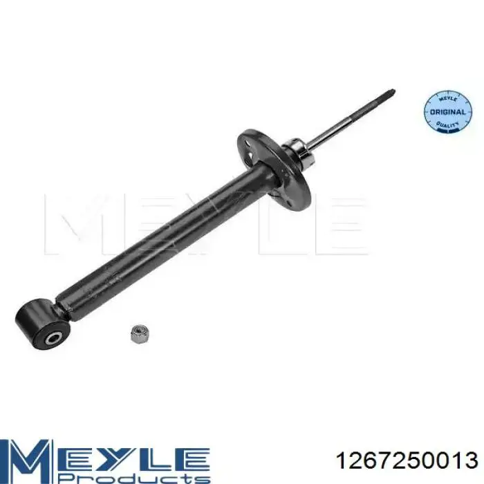 Купити RS105813 Raiso Стійка амортизатора задня
