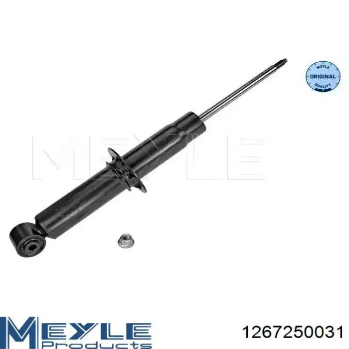 Амортизатор задній Raiso RS316999 ціна, від 32.73 USD