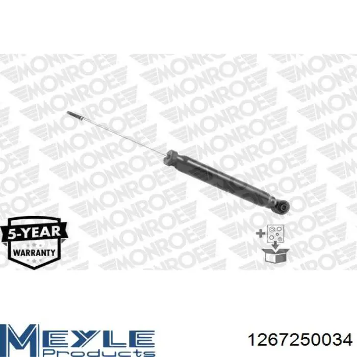 Купити RS314213 Raiso Стійка амортизатора задня